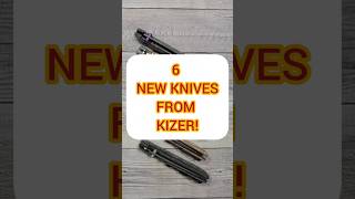 Kizer Begleiter 2.9! #edc #blade #knifereview