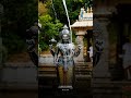 Ethana Samy Vanthathu Ayya Murugan WhatsApp Status Tamil Muruganstatus Shortvideo Trendingshorts