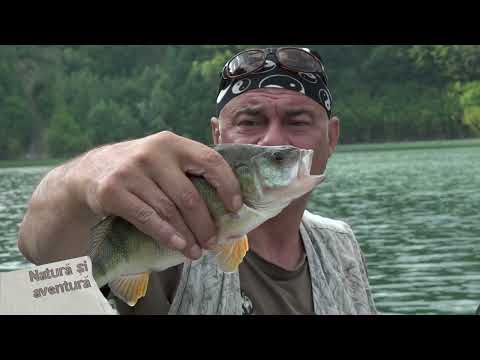 Natura si aventura: La pescuit pe lacul Siriu