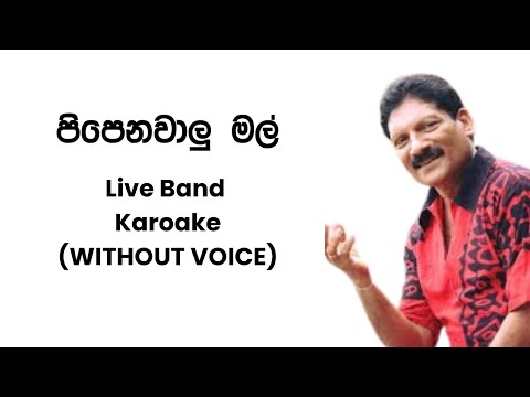 Pipenawalu Mal Karoake Without Voice