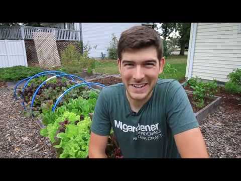 YouTube video about: How to make money gardening?