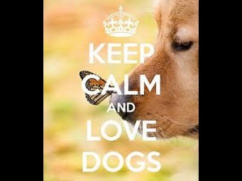 download lagu mp3 mp4 Keep Calm And Be Happy, download lagu Keep Calm And Be Happy gratis, unduh video klip Keep Calm And Be Happy