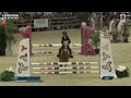 Poney B d&rsquo;exception &agrave; louer pour &eacute;preuves CSO