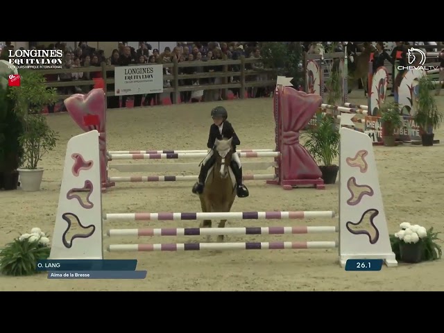 Poney B d&rsquo;exception &agrave; louer pour &eacute;preuves CSO