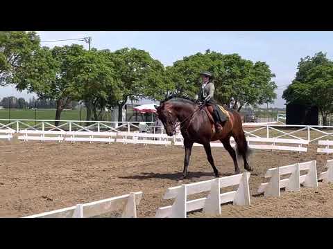 1a prova do regional - Lara e Endiabrado