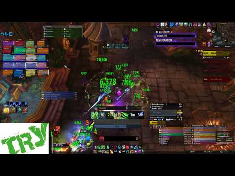 Dps Loss - Champion of Light (Resto Druid POV)