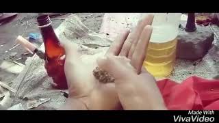 Ganja rock star new subscribe my channel