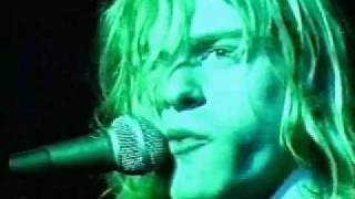 Nirvana | Love Buzz (Kurt attacks cameraman) - Live Paradiso Amsterdam 1991