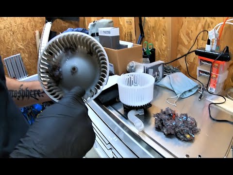 Mazdaspeed3 Blower Motor Replacement