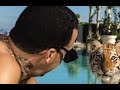 French Montana Poison The Appetizer