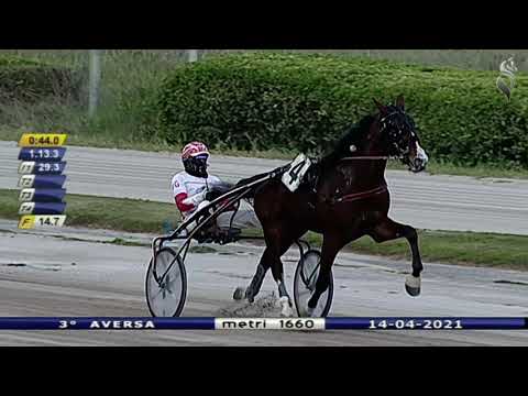 Aversa trotto 14 Aprile 2021 - 3° Corsa