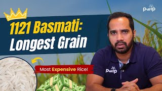 Guide to 1121 Basmati Rice for Beginners | Everything You Need to Know