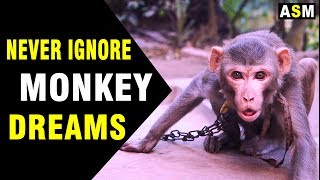 Monkey in Dream Meaning | Dreaming of Monkey | Monkey dream Interpretation