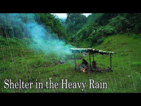 , title : 'Make a shelter, find Wild Food in Heavy Rain: Survival Alone | EP.157'