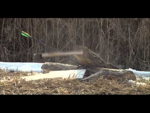 The Bow Saves a Country