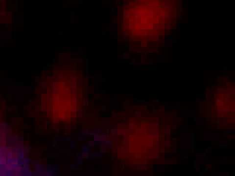 Zarintaj Hunzai singing ginnan moman mahaadan Aavshe.mov