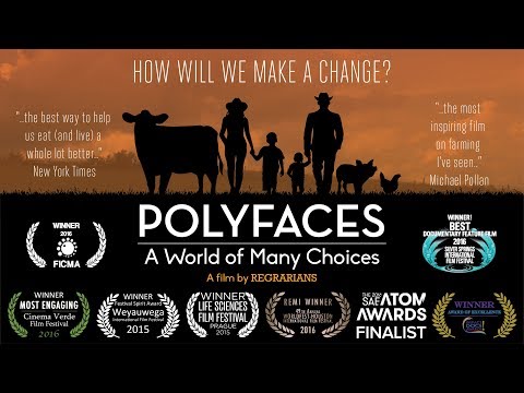 Polyfaces - A World of Many Choices