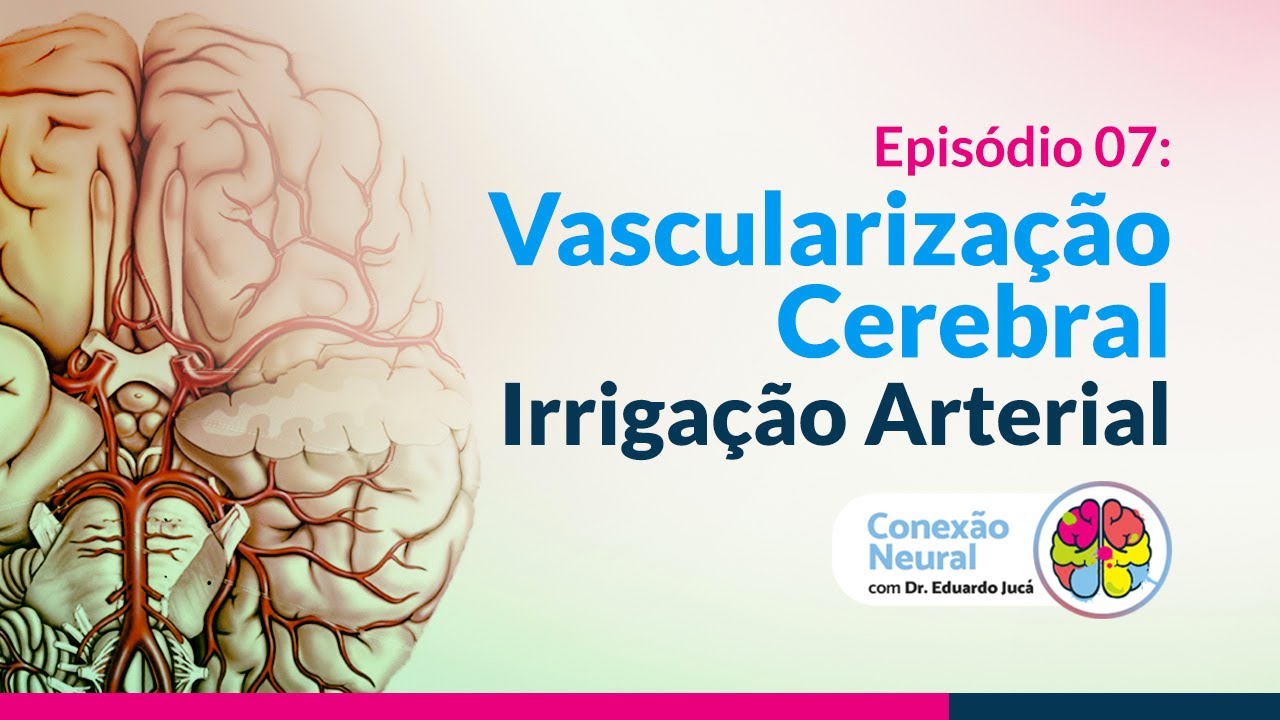 VASCULARIZAÇÃO CEREBRAL: IRRIGAÇÃO ARTERIAL