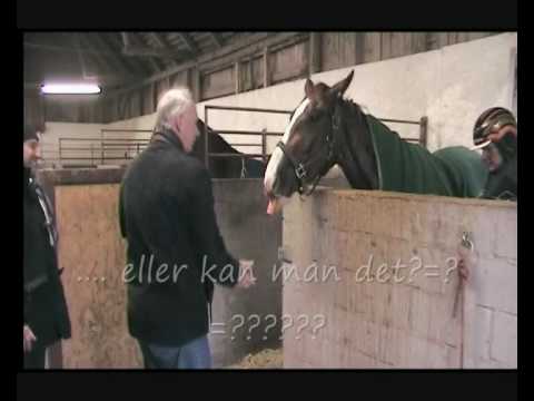 Stall Greta Film 1 Inför elitloppet 2010