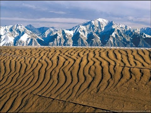 Чарские пески в Забайкальском крае. Мале