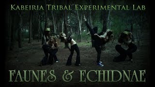 Faunes &amp; Echidnae