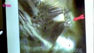 Evidence of Aliens? - I Believe in UFOs: Danny Dyer - Highlight - BBC Three