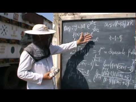4. Basics of Mathematics: Lesson 40 - Mathematical analysis for everyone 4/8