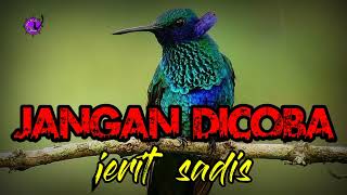 Download lagu masteran monster gantangan!!! tembak beset ampuh mp3 Download lagu masteran monster gantangan!!! tembak beset ampuh mp3