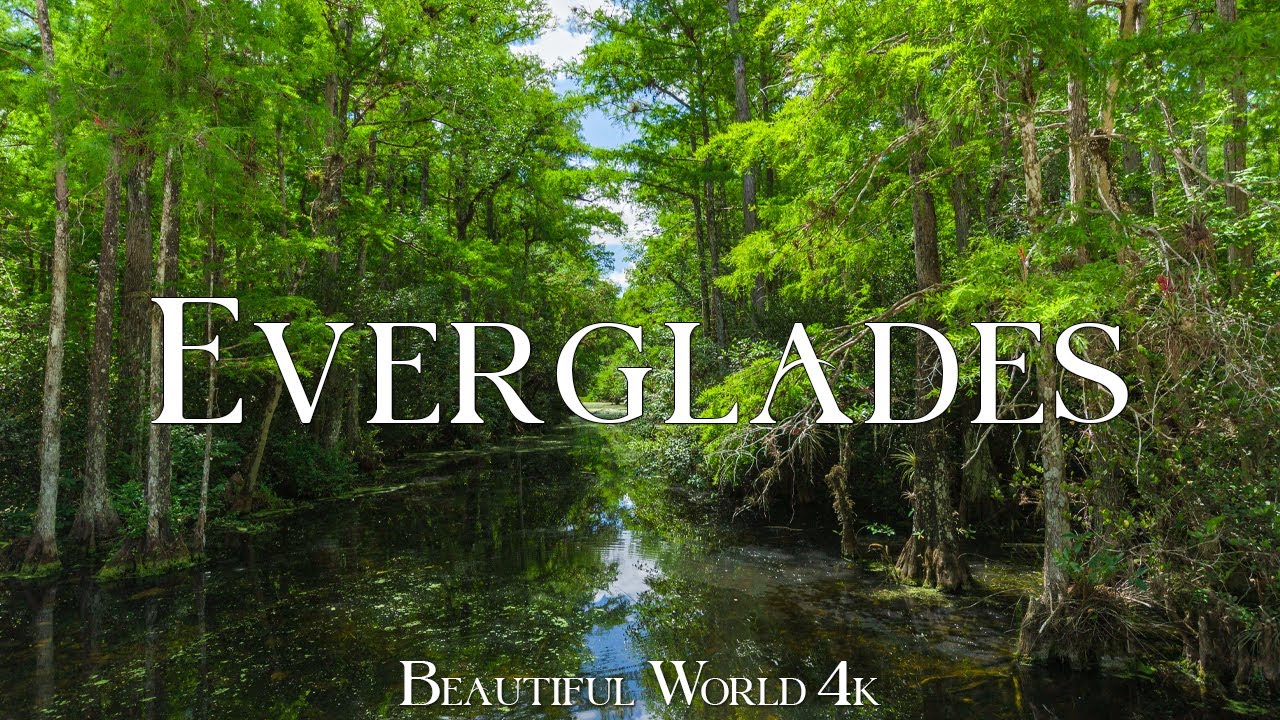 Everglades 4K – A Mysterious Wetland of Silent Waters and Endless Marsh – Piano Music