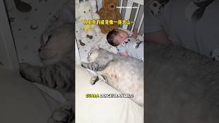 Download lagu Milo is really noisy when he sleeps🤭😂 #cat #milocat mp3