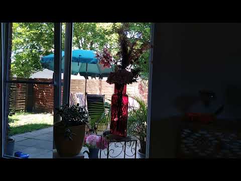 Ich habe den guten Kampf gekämpft, den Lauf vollendet, den Glauben bewahrt. 2 Tim. 4,17, 18