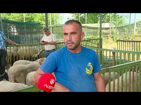 Besimtarët myslimanë nesër festojnë Kurban Bajramin, edhe këtë vit, çmimet e bagëtive kanë fluturuar