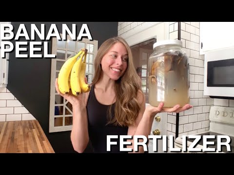 How To Make Banana Peel Fertilizer For Peppers & Tomatoes 🍌 (ZERO WASTE)