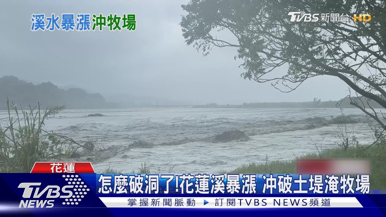怎麼破洞了!花蓮溪暴漲 沖破土堤淹牧場