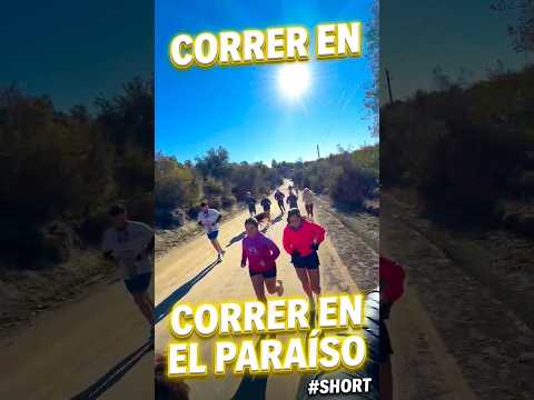 La MEJOR RUTA de Running en Villa Pehuenia, Neuquén 🌲✨