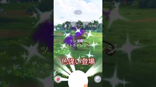 ⚠️色100個体⁉️色違いシャドウランプラー現る🔥✨ #ポケモンgo #pokemongo #pokemongoshorts