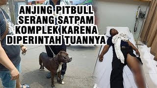 Viral Video Anjing Pitbull Serang Satpam karena Turuti Perintah Pemiliknya hingga Tantang Warga