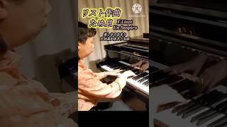 Download lagu 61歳 リスト弾いてみた #ピアノ再開組 #shortsfeed #ショート動画 #ピアノ弾いてみた mp3 Download lagu 61歳 リスト弾いてみた #ピアノ再開組 #shortsfeed #ショート動画 #ピアノ弾いてみた mp3