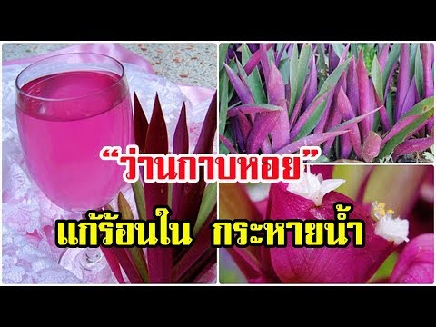 ไม่ว่าจะเป็นไปได้ที่จะเพิ่มหน้าอกออกกำลังกาย เพราะสิ่งที่สามารถพองตัวหน้าอกหลังจาก mammoplasty