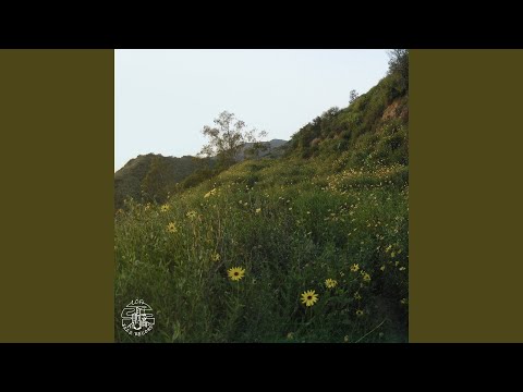 wildflower walk