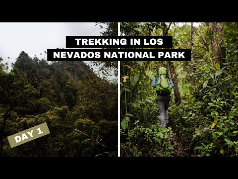 TREKKING IN LOS NEVADOS NATIONAL PARK | Backpacking Colombia, Day 1