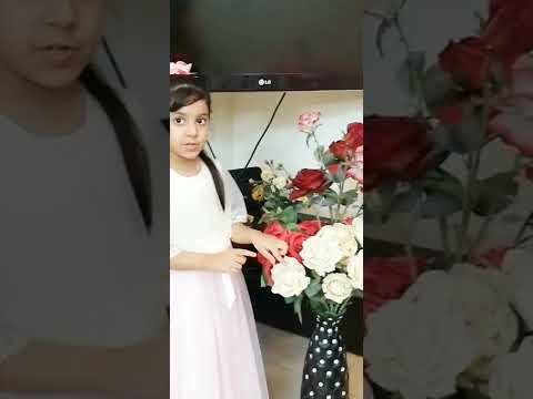 About Rose's 🌹! Iffah explains the characteristics of  a rose. #roses