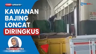 Aksinya Viral, Komplotan Bajing Loncat yang 'Nyolong' Muatan Truk di Cakung Ditangkap Polisi