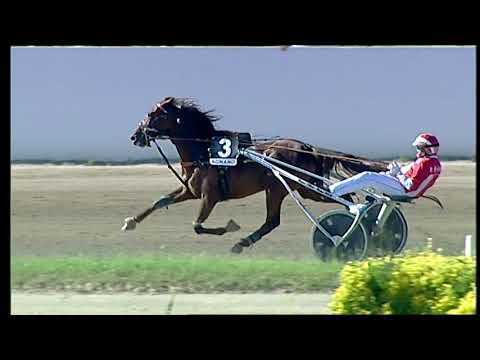 Napoli Trotto 21/05/2021 - 7ª corsa