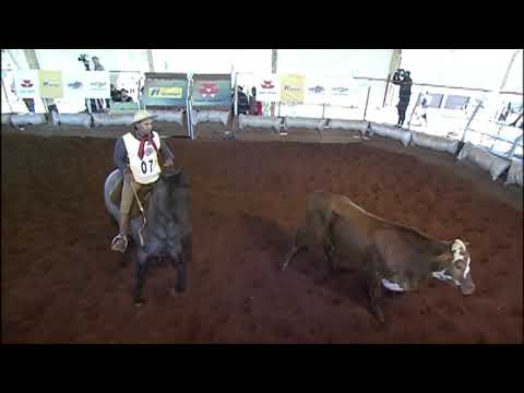 Classificatória de Campo Grande - 6º lugar fêmeas - Estampa do Purunã  (Mangueira II)