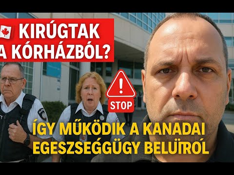Jogosítvány hosszabbítás + Kanadai egészségügy tapasztalataim 🇨🇦👨‍⚕️🚗