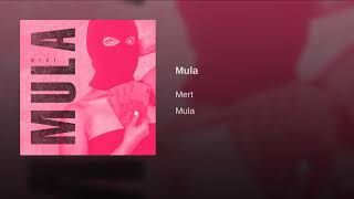 MERT ABI - MULA