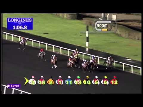 02.02.2013 Meydan (Dubai-UAE) 1.Race Longines Master Collection Moon Phases - 1.400 m