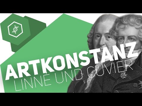 Theory of species constancy – Linnaeus and Cuvier – Evolution