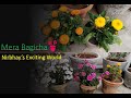 Mera Bagicha